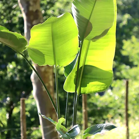 La - Geres ファームステイ ヴィエイラ・ド・ミーニョ