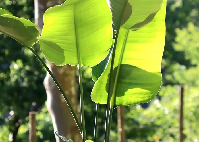 La - Geres Farm stay Vieira do Minho